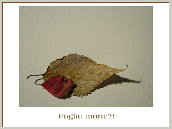 Foglie Morte?!