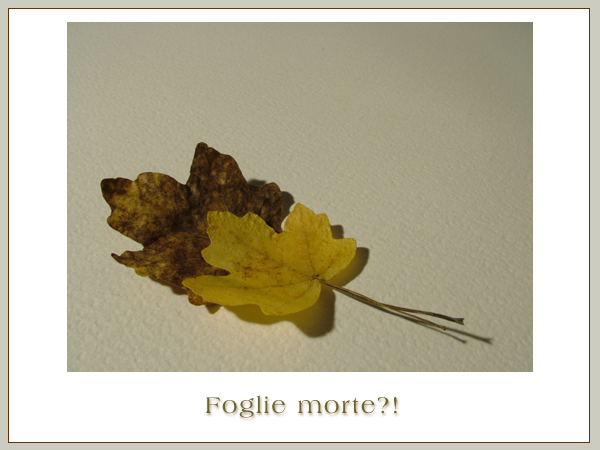 Foglie Morte?!