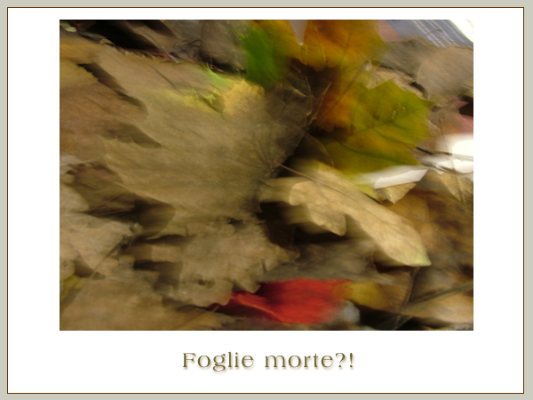 Foglie Morte?!