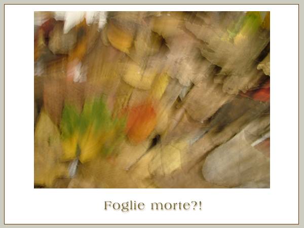 Foglie Morte?!