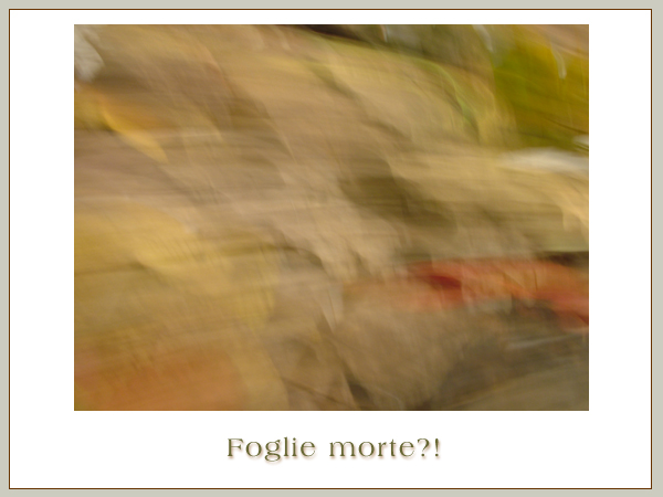 Foglie Morte?!