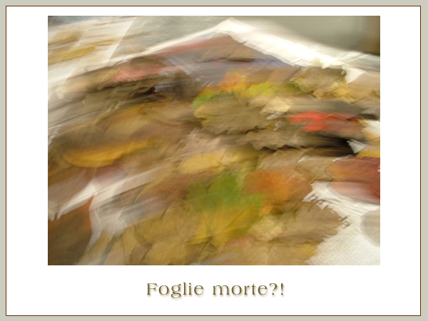 Foglie Morte?!
