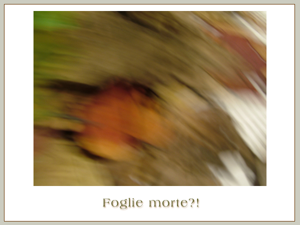 Fogle Morte?!