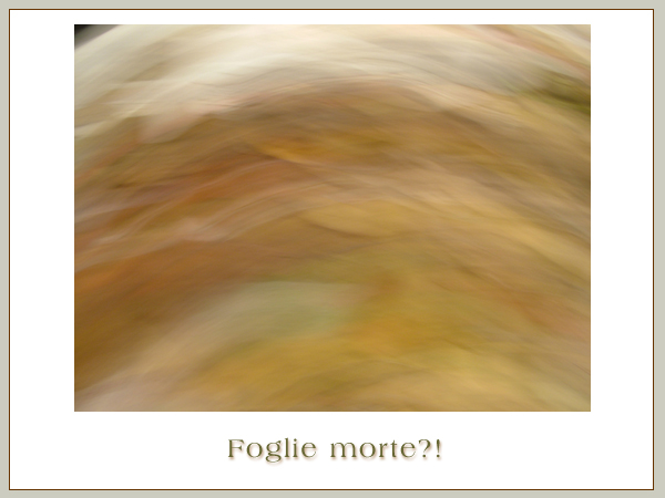 Foglie Morte?!