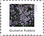 mail art project- Schegge d'arte - Giuliana Rubbia