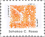 mail art project- Schegge d'arte - Schoco C. Rosso