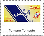 mail art project- Schegge d'arte - Tamara Tornado