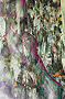 digitale