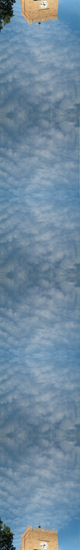 cielo