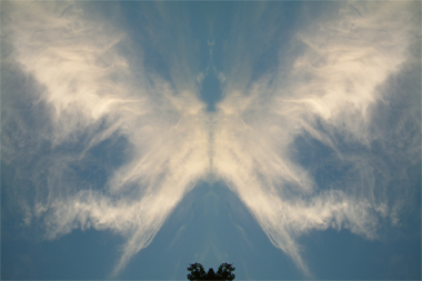 volando
