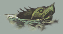pesce