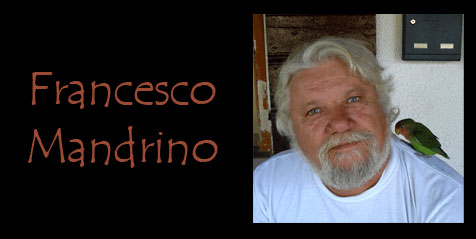 francesco mandrino - testata
