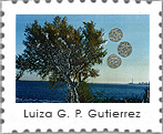 mail art project- Schegge d'arte - Luiza G. P. Gutierrez